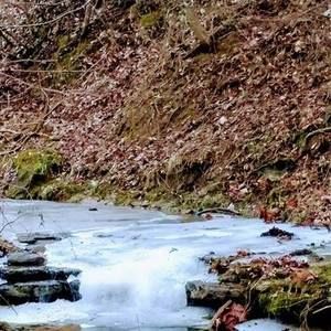 Meet your Posher, Charlene